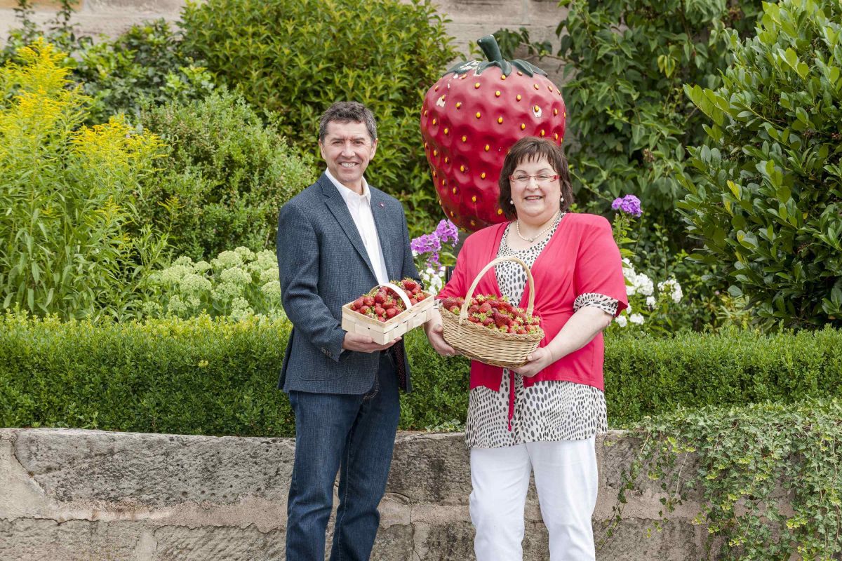 Inserate und Anzeigen