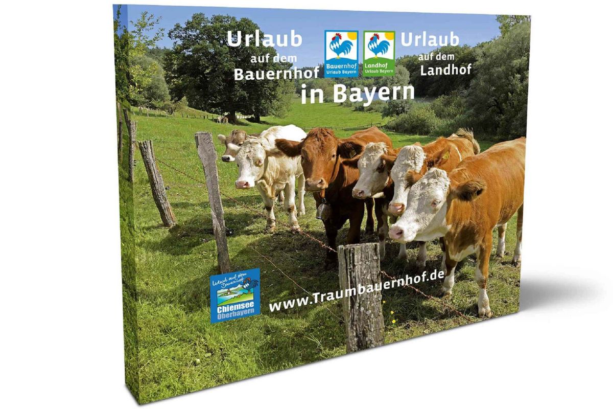 Banner und Beschriftungen